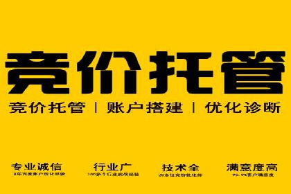 揭秘百度包年竞价优势：成功案例深度解析
