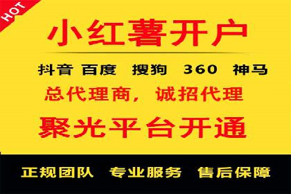 揭秘SEM竞价成功案例，助你提升ROI